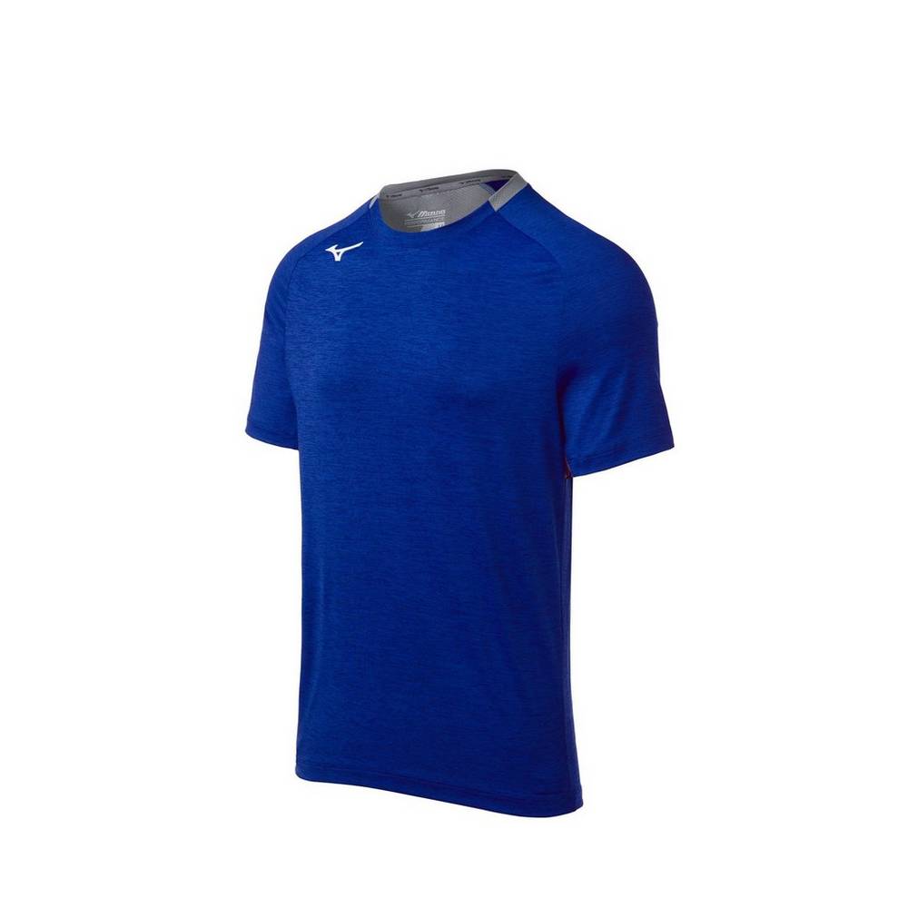 Mizuno Alpha Short Sleeve - Erkek Tişört - Kraliyet Mavisi Türkiye (DWQKXB-160)